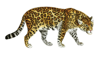 Jackson Middle School