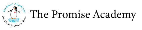 The Promise Academy