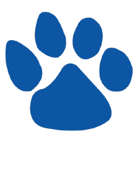 Colonial Hills Elementary School